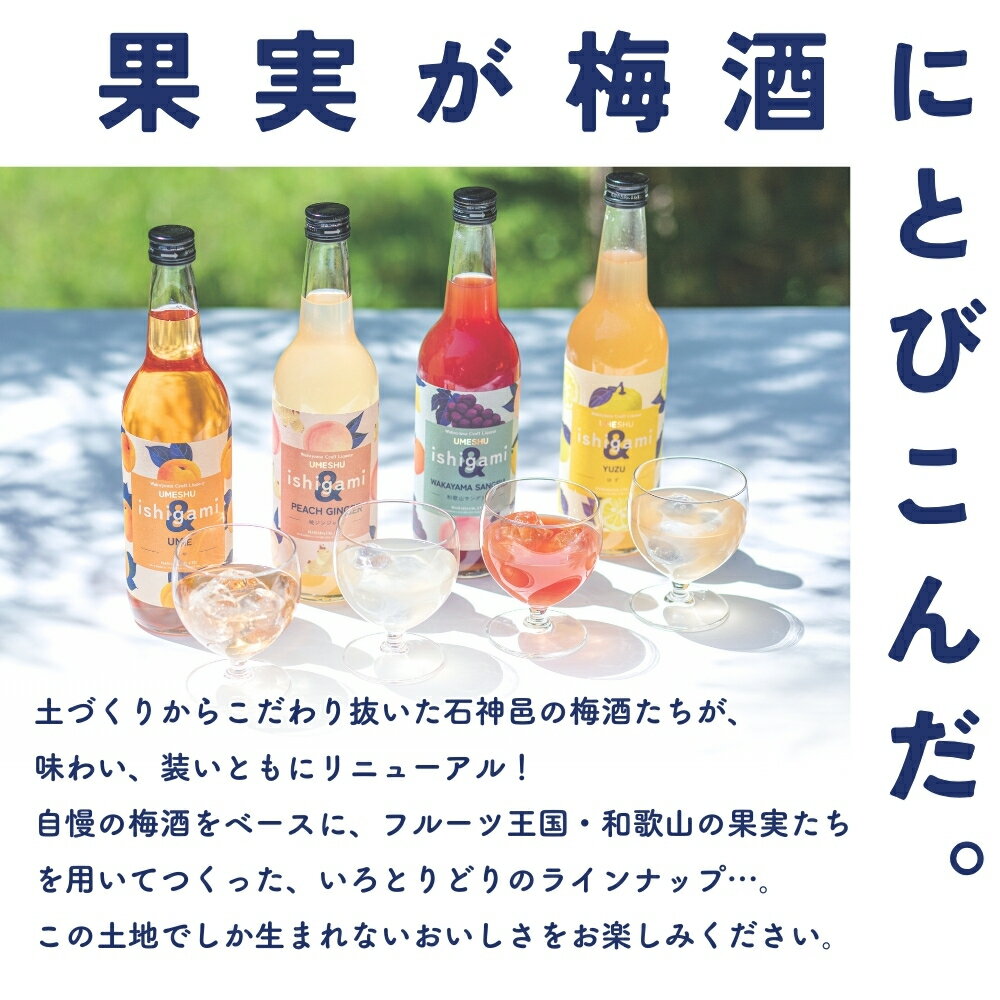 【ふるさと納税】 組み合わせが選べる！ 梅酒ishigami&（イシガミアンド）600ml 選べる2本セット / 和歌山 田辺市 梅干し 梅干 梅 うめ 酒 フルーツ 飲み比べ ギフト 贈答品 サムネイル2
