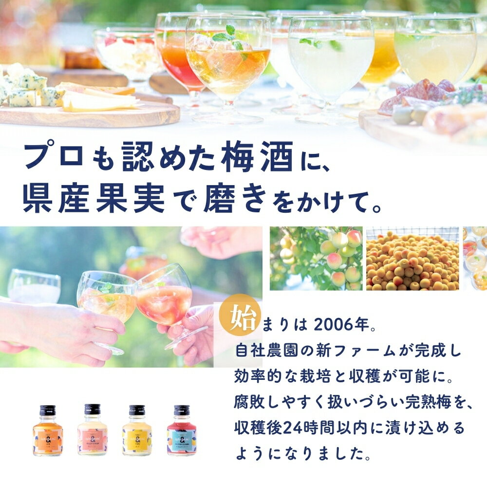 【ふるさと納税】 組み合わせが選べる！ 梅酒ishigami&（イシガミアンド）600ml 選べる2本セット / 和歌山 田辺市 梅干し 梅干 梅 うめ 酒 フルーツ 飲み比べ ギフト 贈答品 サムネイル3