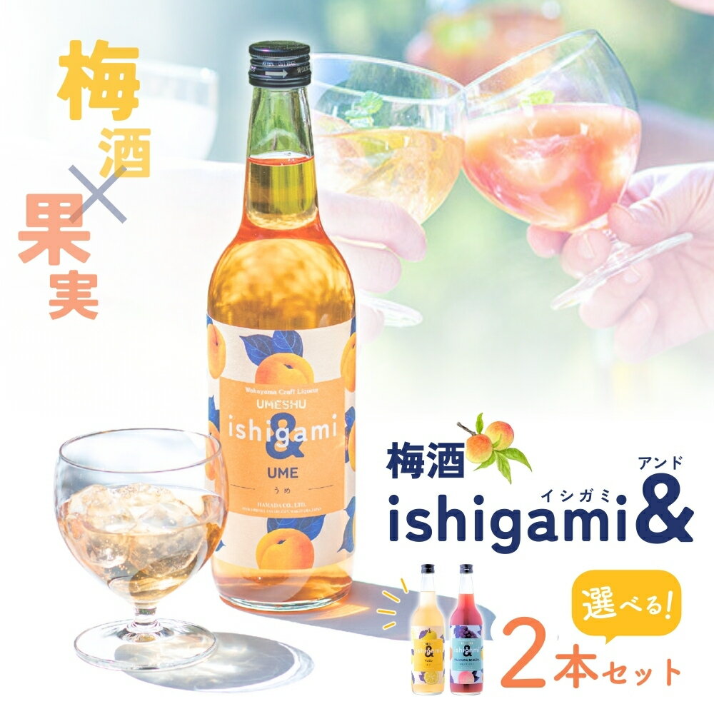組み合わせが選べる！ 梅酒ishigami&（イシガミアンド）600ml 選べる2本セット / 和歌山 田辺市 梅干し 梅干 梅 うめ 酒 フルーツ 飲み比べ ギフト 贈答品