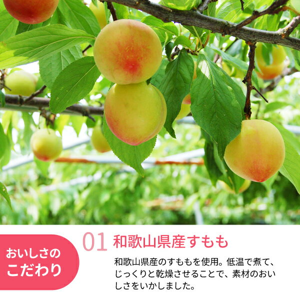 【ふるさと納税】和歌山県産 ドライフルーツ すもも【容量選べる】 20g×2袋・ 20g×5袋 / すもも おやつ 小腹 お菓子 健康 サムネイル2