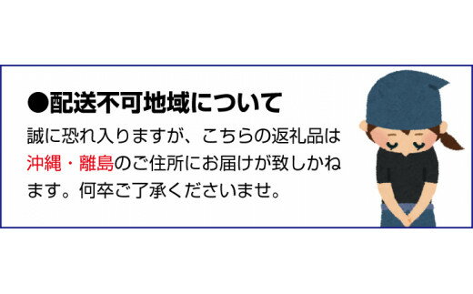 【ふるさと納税】安吉の詰め合わせセットA（しょうゆ・柚子みそ・金山寺みそ・味噌） / 調味料 醤油 金山寺味噌 化粧箱入り 贈答 ギフト 和歌山県 田辺市 サムネイル3