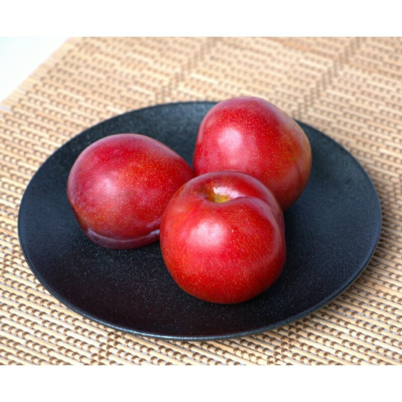 【ふるさと納税】 先行予約 すもも（サマーエンジェル）1kg ※6月中旬～7月中旬頃に順次発送予定【期間限定・数量限定・2026/6/20まで】 / スモモ お取り寄せ 期間限定 夏 フルーツ 果物 和歌山県 田辺市 サムネイル2