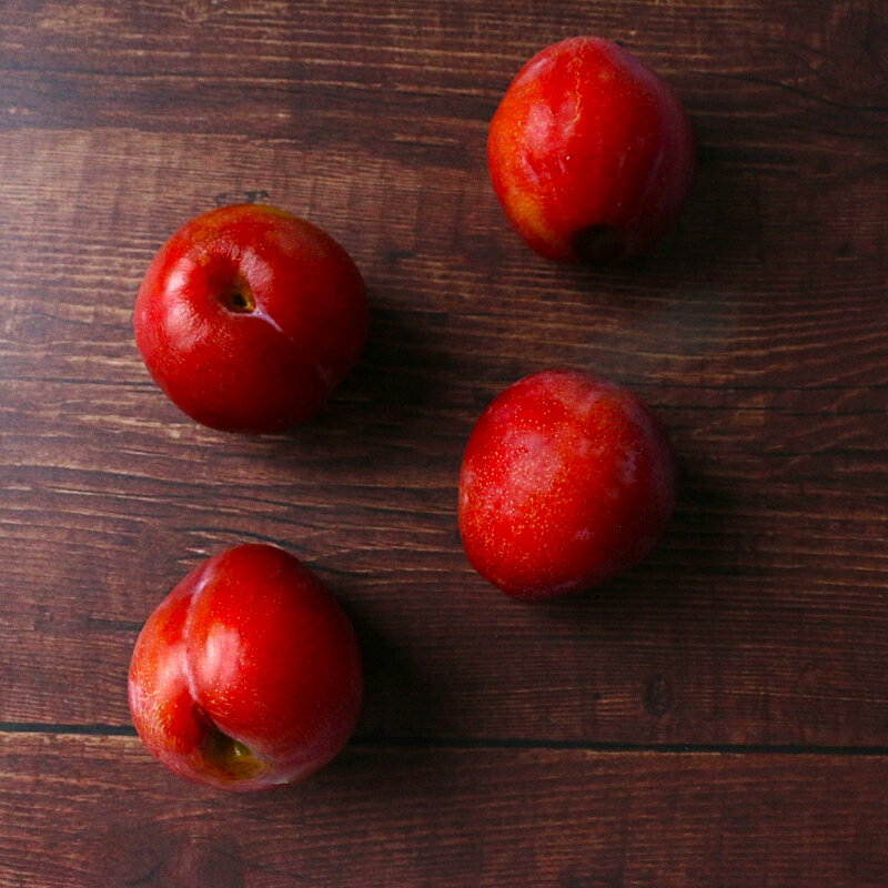 【ふるさと納税】 先行予約 すもも（サマーエンジェル）1kg ※6月中旬～7月中旬頃に順次発送予定【期間限定・数量限定・2026/6/20まで】 / スモモ お取り寄せ 期間限定 夏 フルーツ 果物 和歌山県 田辺市 サムネイル3