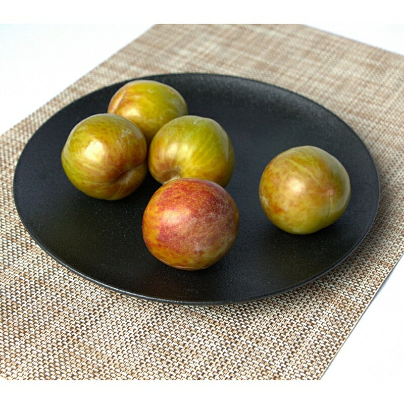 【ふるさと納税】 先行予約 すもも （ソルダム）【選べる容量】 1kg 2kg 4kg ※2026年6月中旬～7月中旬頃に順次発送予定【期間限定・数量限定・2026/6/20まで】 / スモモ お取り寄せ 期間限定 夏 フルーツ 果物 和歌山県 田辺市 サムネイル2