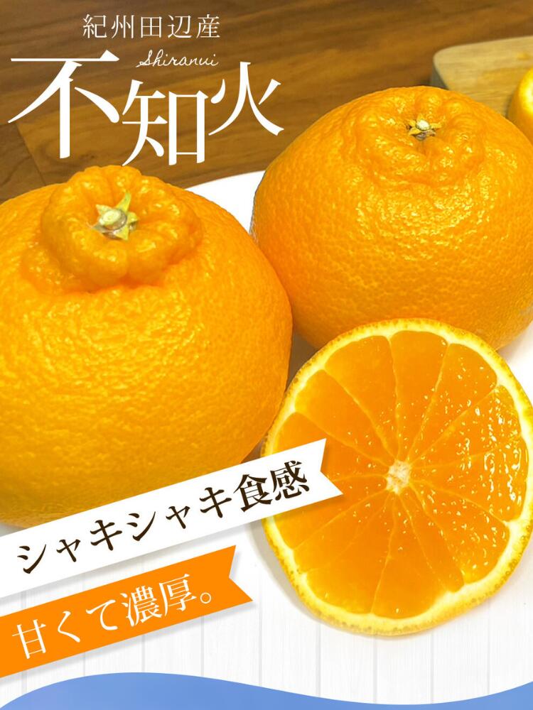 【ふるさと納税】【先行予約】不知火 【選べる容量】 1kg 4kg 【先行予約】※2026年3月から順次発送予定※ / みかん 蜜柑 ミカン 和歌山県 しらぬい デコポン フルーツ 果物 柑橘 田辺市 サムネイル2