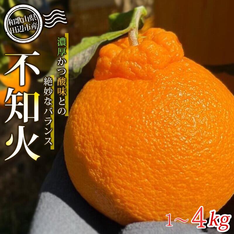 【先行予約】不知火 【選べる容量】 1kg 4kg 【先行予約】※2026年3月から順次発送予定※ / みかん 蜜柑 ミカン 和歌山県 しらぬい デコポン フルーツ 果物 柑橘 田辺市