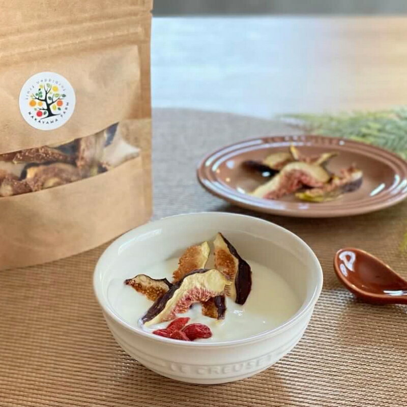 イチジクのドライフルーツ 【選べる容量】 3袋 6袋 / いちじく 小分け セット おやつ 果物 田辺市 和歌山県 ドライフルーツ フルーツ ドライ お菓子