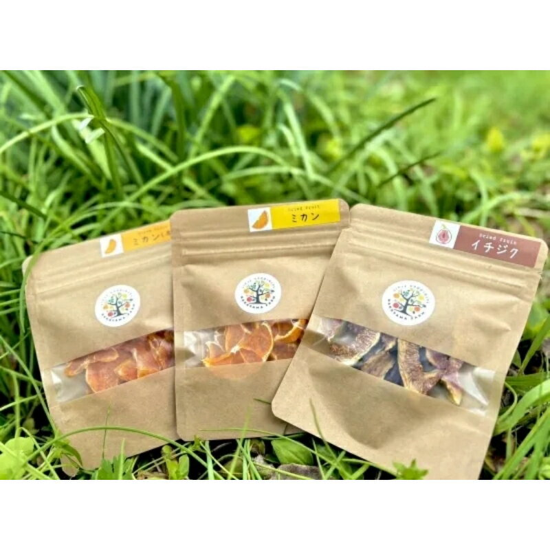 【ふるさと納税】【期間限定・12/31まで】中山農園のポンカン 1kgとドライフルーツのセット ※1月以降順次発送予定※ / 和歌山県 ポンカン ぽんかん フルーツ 果物 柑橘 田辺市 イチジク いちじく 無花果 サムネイル2