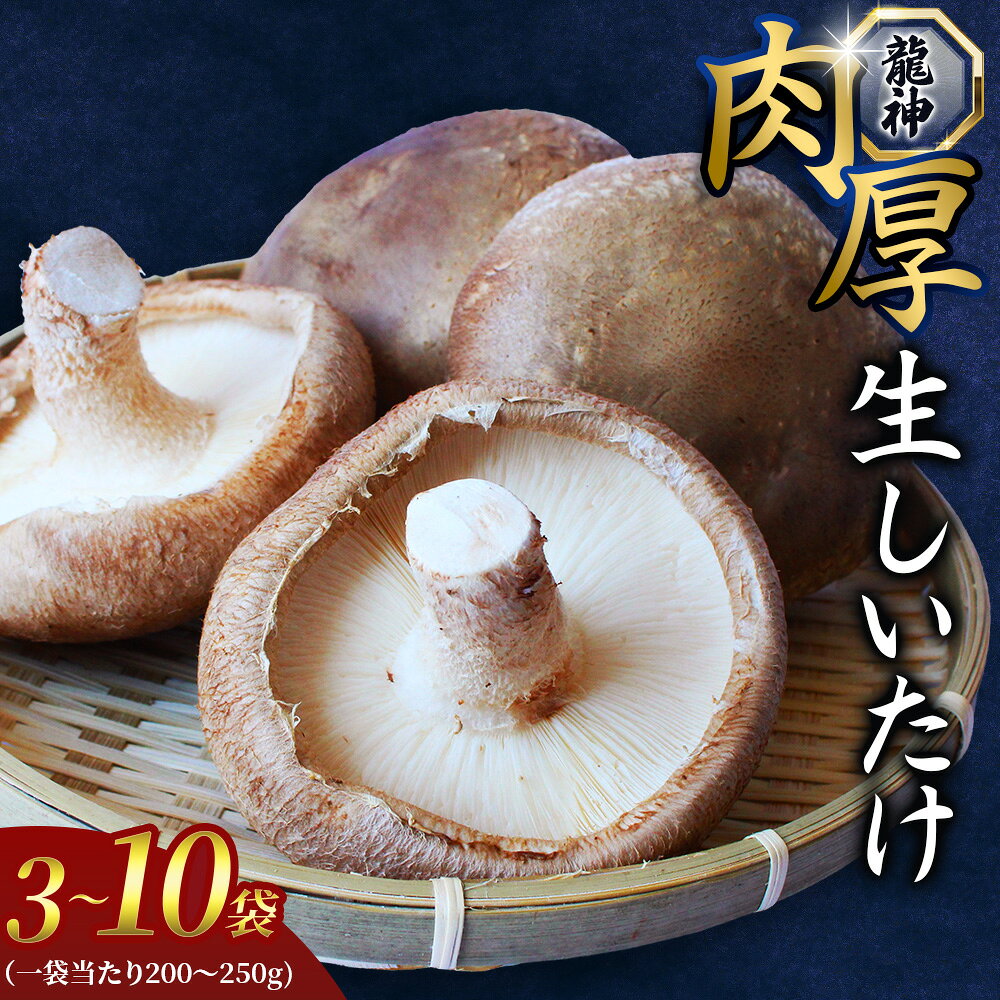 龍神マッシュの生しいたけ 選べる容量 3～10袋 / 肉厚 無農薬 菌床栽培 きのこ シイタケ 椎茸 和歌山県 田辺市