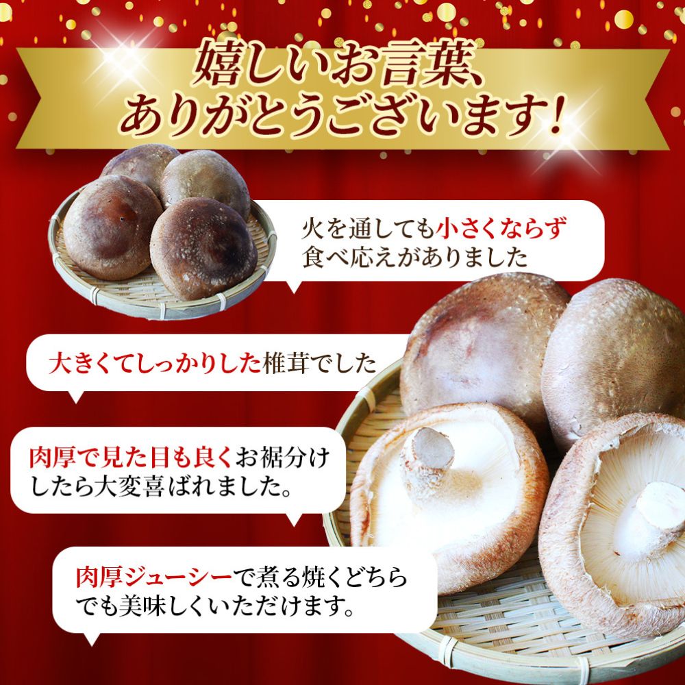 【ふるさと納税】 龍神マッシュの生しいたけ 選べる容量 3～10袋 / 肉厚 無農薬 菌床栽培 きのこ シイタケ 椎茸 和歌山県 田辺市 - 画像2