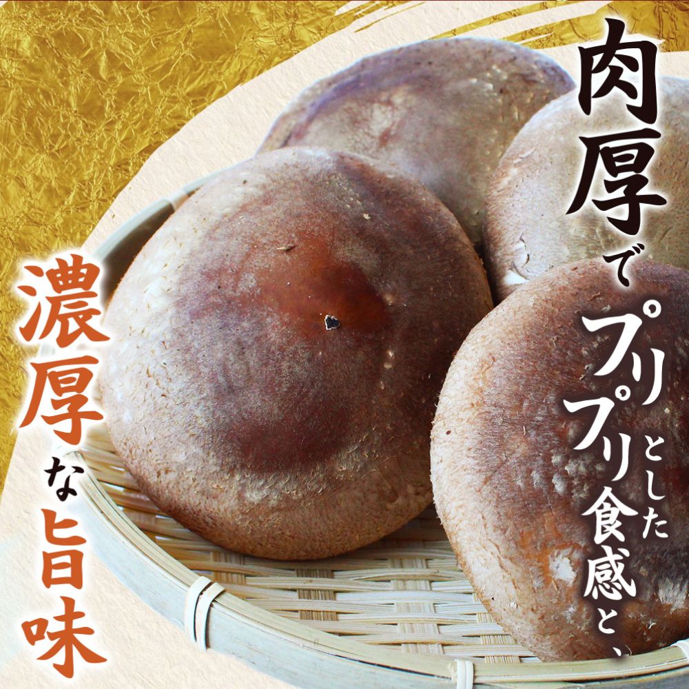 【ふるさと納税】 龍神マッシュの生しいたけ 選べる容量 3～10袋 / 肉厚 無農薬 菌床栽培 きのこ シイタケ 椎茸 和歌山県 田辺市 - 画像3