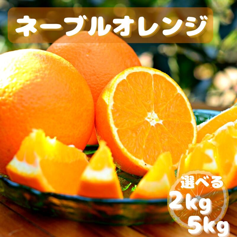 【先行予約】ネーブルオレンジ【選べる容量2kg 5kg】※2026年3月上旬以降随時発送予定 / 田辺市 和歌山 みかん ミカン 柑橘 温州みかん フルーツ オレンジ ネーブル