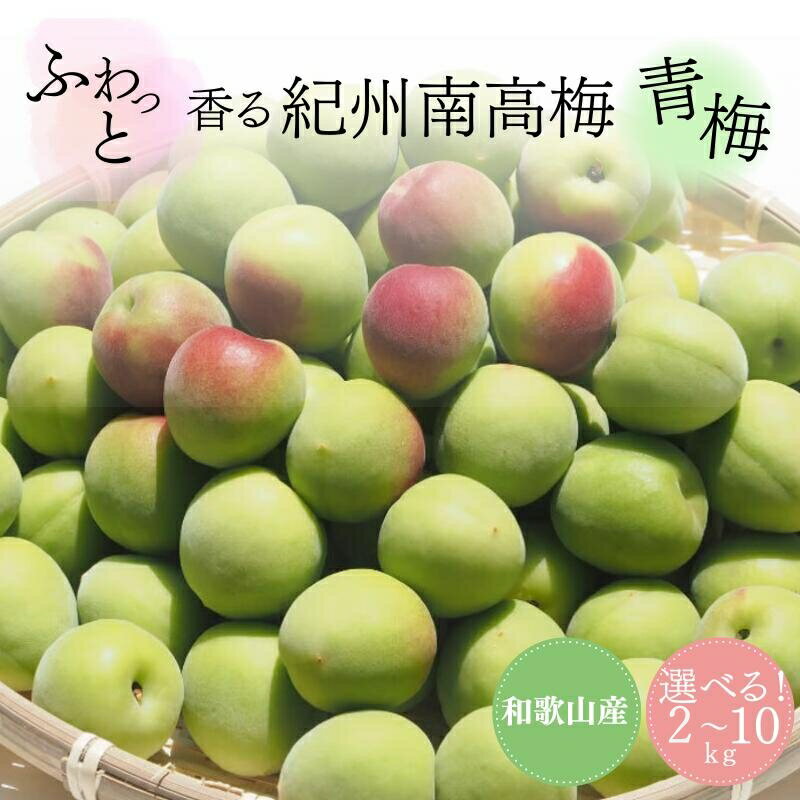 ふわっと香る紀州南高梅　青梅　容量選べる！2kg 3kg 5kg 10kg ※2026年6月中旬～7月上旬頃に順次発送予定【期間限定：2026年6月15日まで】 / 和歌山 田辺市 紀州南高梅 南高梅 梅干し 梅干 梅 うめ 青梅 梅シロップ 梅酒