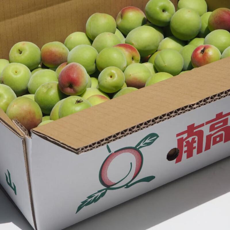 【ふるさと納税】ふわっと香る紀州南高梅　青梅　容量選べる！2kg 3kg 5kg 10kg ※2026年6月中旬～7月上旬頃に順次発送予定【期間限定：2026年6月15日まで】 / 和歌山 田辺市 紀州南高梅 南高梅 梅干し 梅干 梅 うめ 青梅 梅シロップ 梅酒 サムネイル2