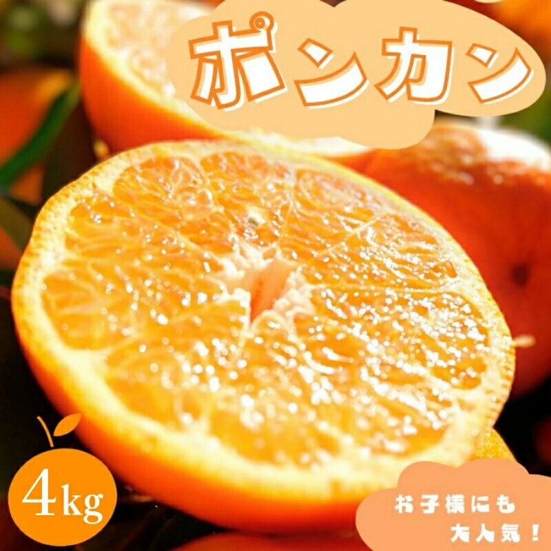 【先行予約】ポンカン 【秀品】 4kg （サイズ混合） 【2026年1月より順次発送】 / みかん ミカン 蜜柑 ポンカン 和歌山 田辺市 紀州 くだもの 柑橘 フルーツ