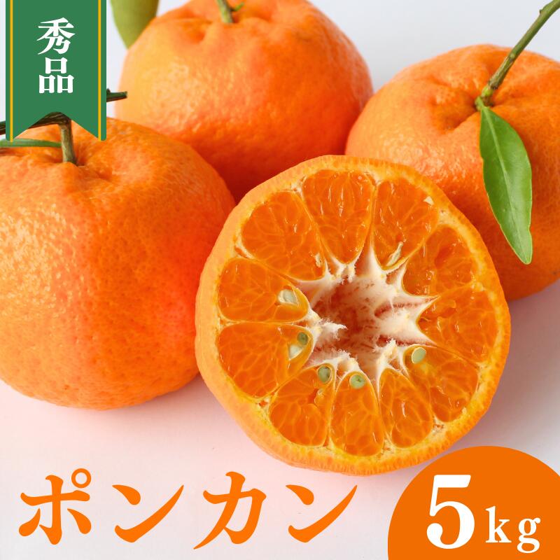 ＜先行予約＞ポンカン【秀品】5kg ※2026年1月下旬～2月下旬頃に順次発送予定【期間限定・数量限定】 / ぽんかん 柑橘 季節限定 お取り寄せ 産地直送 贈答品 ギフト 果物 フルーツ 田辺市 和歌山県