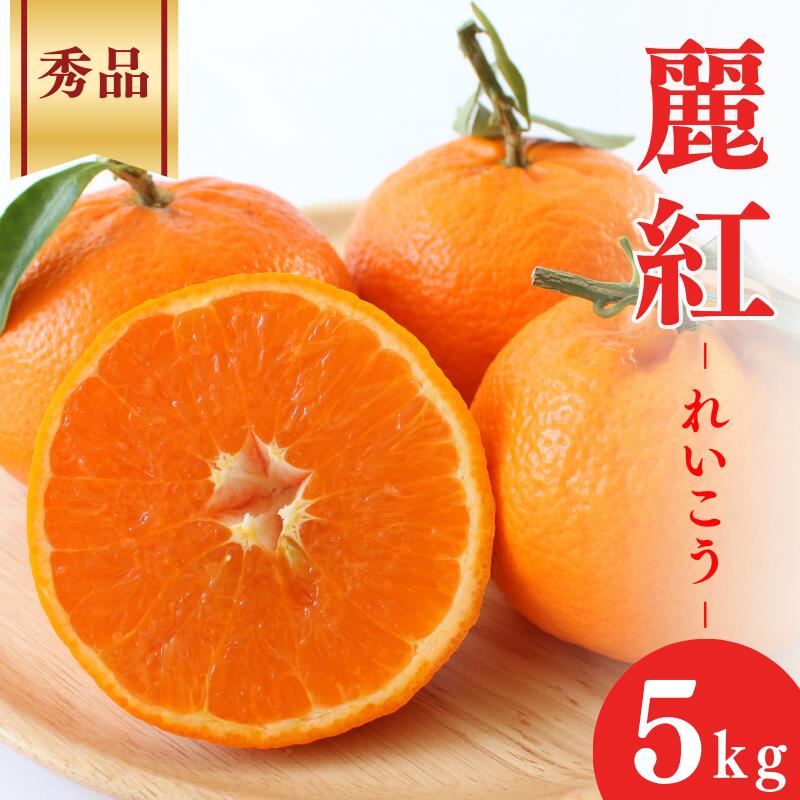 ＜先行予約＞麗紅【秀品】5kg ※2026年2月下旬～3月中旬頃に順次発送予定【期間限定・数量限定】 / 柑橘 季節限定 お取り寄せ 産地直送 贈答品 ギフト 果物 フルーツ 田辺市 和歌山県