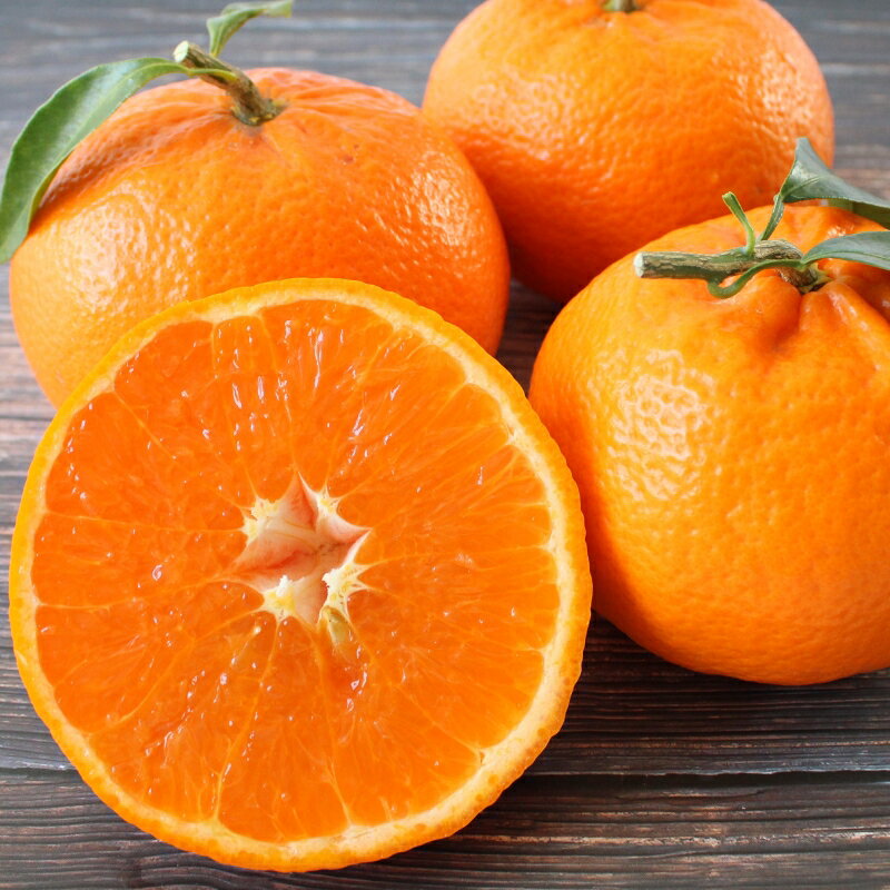 【ふるさと納税】 ＜先行予約＞麗紅【秀品】5kg ※2026年2月下旬～3月中旬頃に順次発送予定【期間限定・数量限定】 / 柑橘 季節限定 お取り寄せ 産地直送 贈答品 ギフト 果物 フルーツ 田辺市 和歌山県 サムネイル2