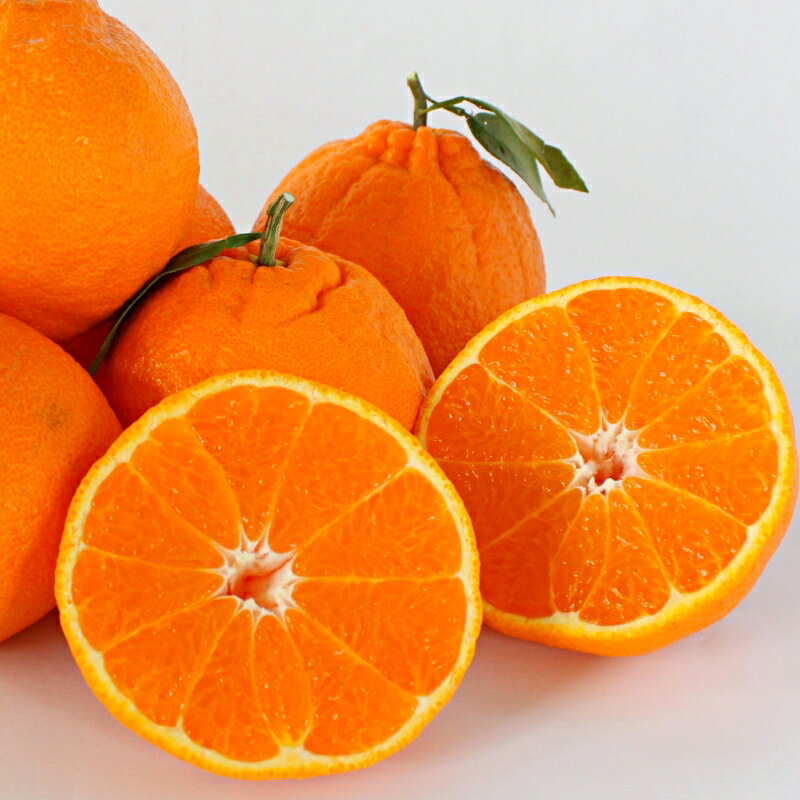 【ふるさと納税】 ＜先行予約＞デコポン【秀品】5kg ※2026年3月上旬～4月上旬頃に順次発送予定【期間限定・数量限定】 / 柑橘 季節限定 お取り寄せ 産地直送 贈答品 ギフト 果物 フルーツ 田辺市 和歌山県 サムネイル2