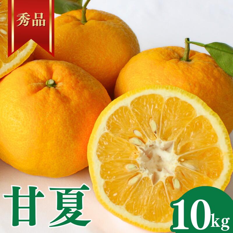 ＜先行予約＞甘夏【秀品】10kg ※2026年4月中旬～5月中旬頃に順次発送予定【期間限定・数量限定】 / 柑橘 季節限定 お取り寄せ 産地直送 贈答品 ギフト 果物 フルーツ 田辺市 和歌山県