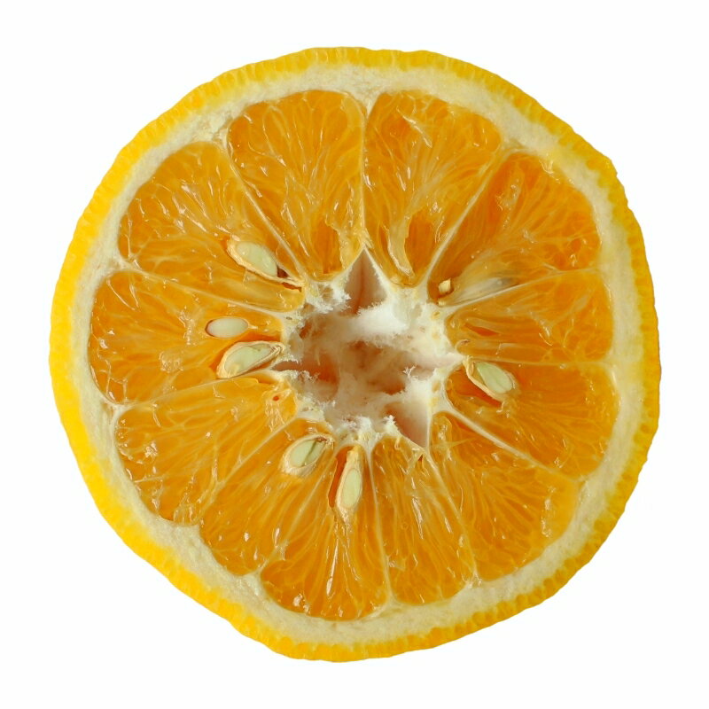 【ふるさと納税】 ＜先行予約＞甘夏【秀品】10kg ※2026年4月中旬～5月中旬頃に順次発送予定【期間限定・数量限定】 / 柑橘 季節限定 お取り寄せ 産地直送 贈答品 ギフト 果物 フルーツ 田辺市 和歌山県 サムネイル3