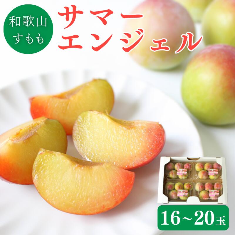 ＜先行予約＞すもも（サマーエンジェル）4パック ※2026年6月下旬～7月上旬頃に順次発送予定【期間限定・数量限定】 / スモモ プラム 冷蔵 季節限定 お取り寄せ 産地直送 贈答品 ギフト 果物 フルーツ 田辺市 和歌山県