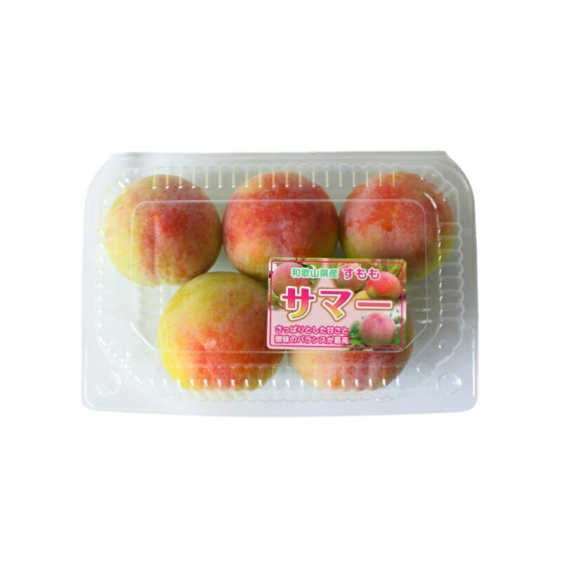 【ふるさと納税】 ＜先行予約＞すもも（サマーエンジェル）4パック ※2026年6月下旬～7月上旬頃に順次発送予定【期間限定・数量限定】 / スモモ プラム 冷蔵 季節限定 お取り寄せ 産地直送 贈答品 ギフト 果物 フルーツ 田辺市 和歌山県 サムネイル3