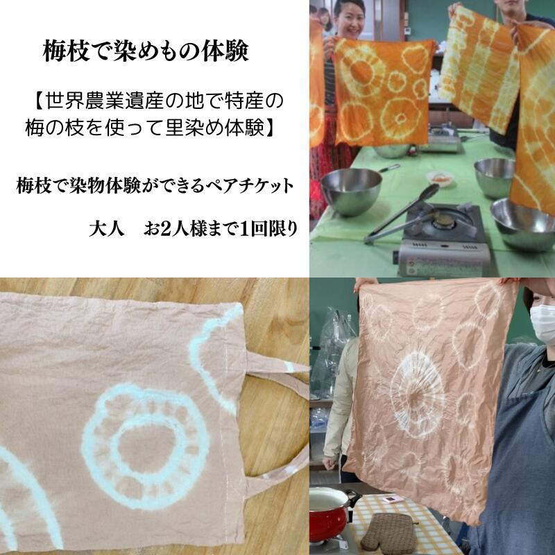 梅枝で染物体験ができるペアチケット / 体験 手作り 染物 リラックス 和歌山 田辺市 チケット ペアチケット ハンドメイド