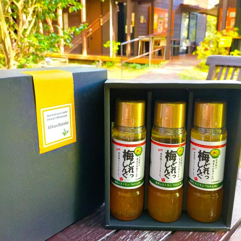 【ふるさと納税】農家のお母さん手づくり梅ドレッシング 200ml 【選べる本数】 2本 3本 / 野菜 サラダ 調味料 ギフト お取り寄せ 和歌山県 田辺市 ドレッシング 梅 農家 サムネイル3