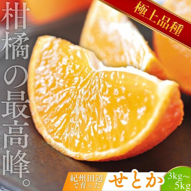 ＼数量限定／ 露地栽培のせとか 【選べる容量】 3kg 5kg （順次出荷可能です） / 柑橘の大トロ 高級 ブランド 希少 品種 和歌山蜜柑 和歌山ミカン 高級みかん 人気みかん みかんランキング 果物 くだもの フルーツ 柑橘 蜜柑 産地直送 国産 和歌山