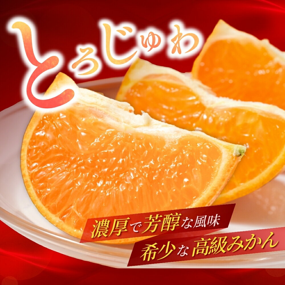 【ふるさと納税】 ＼数量限定／ 露地栽培のせとか 【選べる容量】 3kg 5kg （順次出荷可能です） / 柑橘の大トロ 高級 ブランド 希少 品種 和歌山蜜柑 和歌山ミカン 高級みかん 人気みかん みかんランキング 果物 くだもの フルーツ 柑橘 蜜柑 産地直送 国産 和歌山 サムネイル2