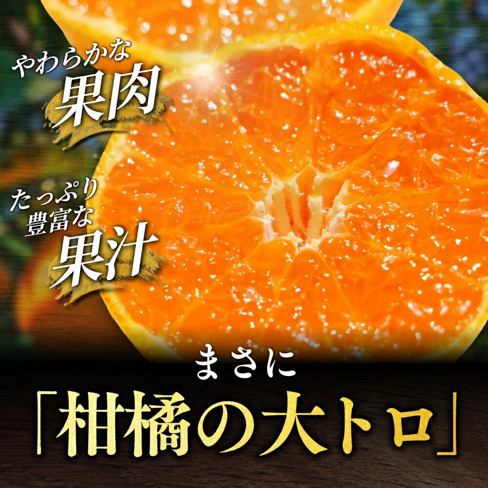 【ふるさと納税】 ＼数量限定／ 露地栽培のせとか 【選べる容量】 3kg 5kg （順次出荷可能です） / 柑橘の大トロ 高級 ブランド 希少 品種 和歌山蜜柑 和歌山ミカン 高級みかん 人気みかん みかんランキング 果物 くだもの フルーツ 柑橘 蜜柑 産地直送 国産 和歌山 サムネイル3