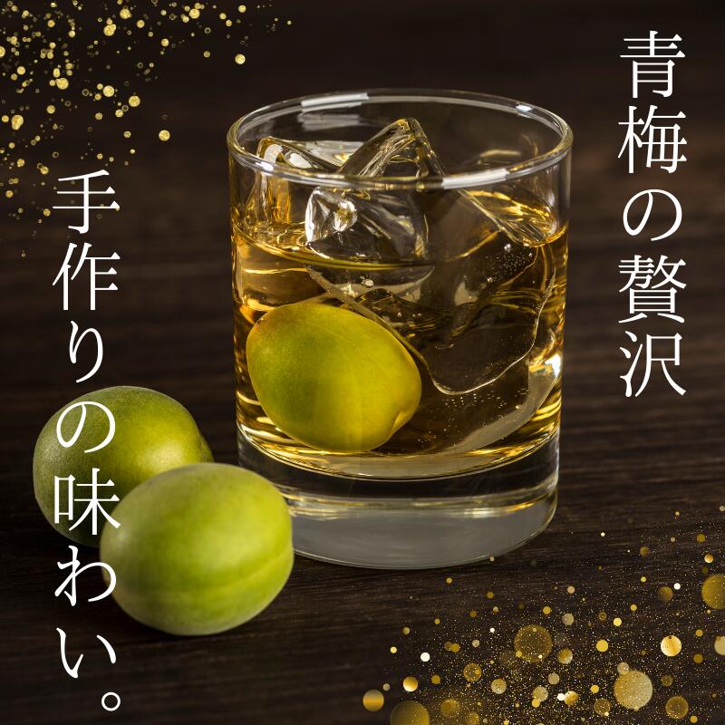 【ふるさと納税】 【先行予約】 青梅【紀州南高梅】 3kg（2026年5月～6月以降順次発送予定） / 南高梅 生梅 梅干し 梅酒 梅ジャム 梅シロップ 産地直送 国産 和歌山 サムネイル2