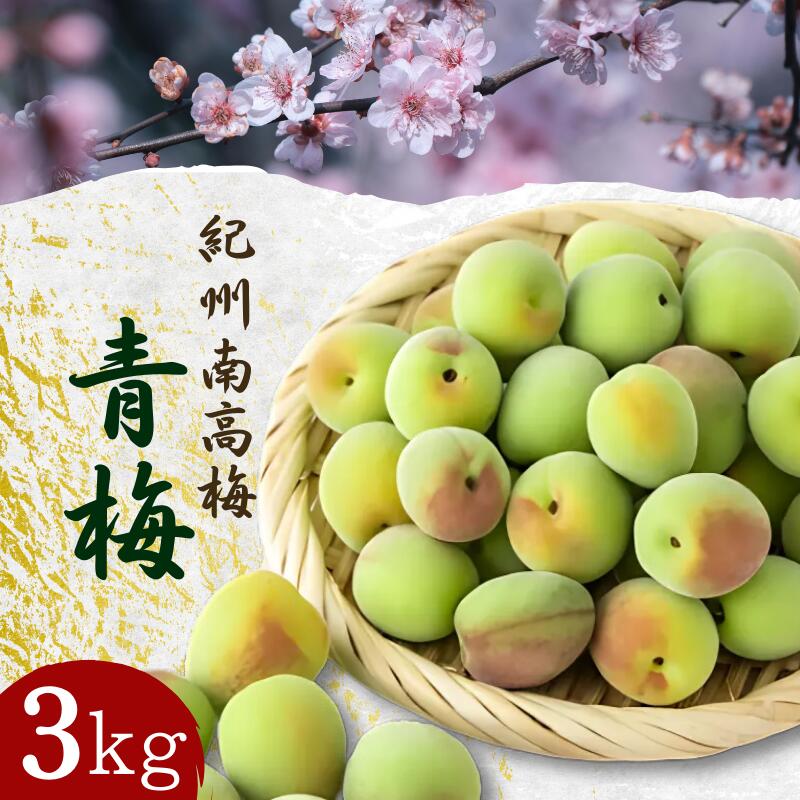 【先行予約】 青梅【紀州南高梅】 3kg（2026年5月～6月以降順次発送予定） / 南高梅 生梅 梅干し 梅酒 梅ジャム 梅シロップ 産地直送 国産 和歌山