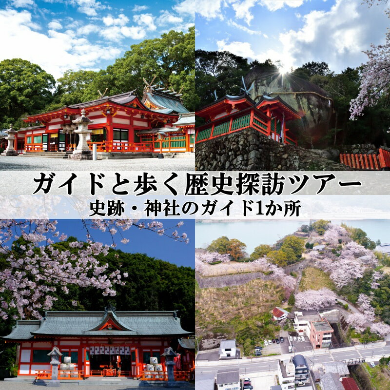 【ふるさと納税】 新宮市 ガイドと歩く歴史探訪ツアー 選べる史跡・神社など1カ所 / 熊野 世界遺産 天然記念物 自然 神社
