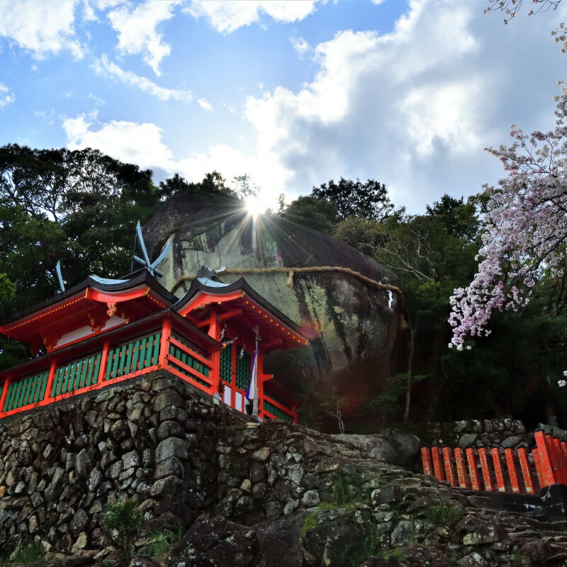 【ふるさと納税】 新宮市 ガイドと歩く歴史探訪ツアー 選べる史跡・神社など1カ所 / 熊野 世界遺産 天然記念物 自然 神社 サムネイル3