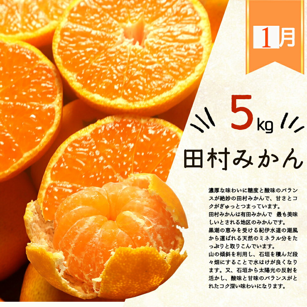 【ふるさと納税】 【3か月定期便】人気のみかんを集めた！旬の柑橘定期【田村みかん・ポンカン・清見オレンジ】 サムネイル2