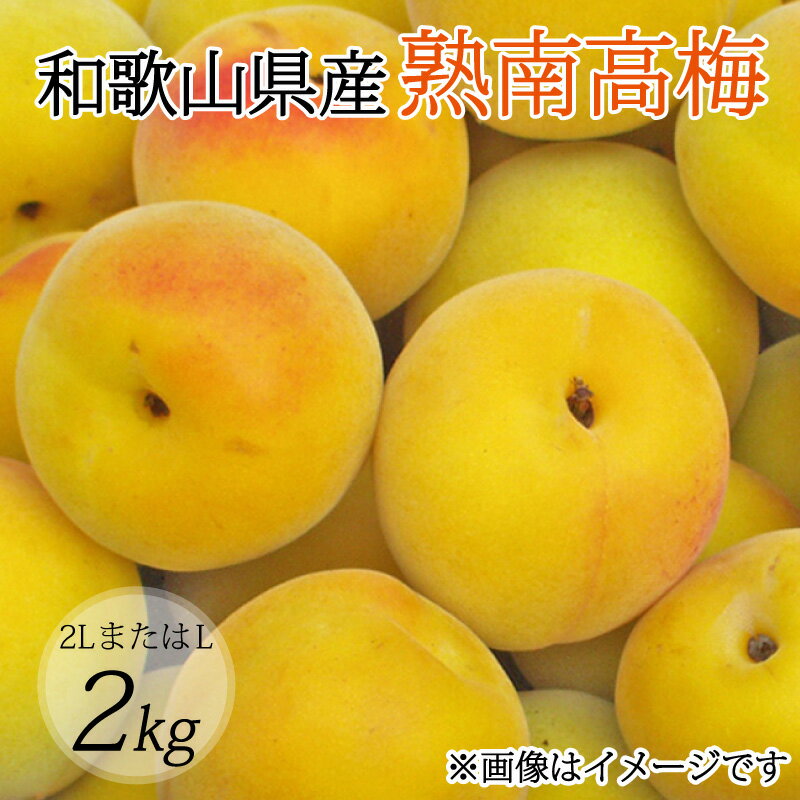 【梅干し・梅酒用】（2LまたはL−2Kg）熟南高梅＜2026年6月上旬〜7月上旬ごろに順次発送予定＞ (お届け日指定不可)