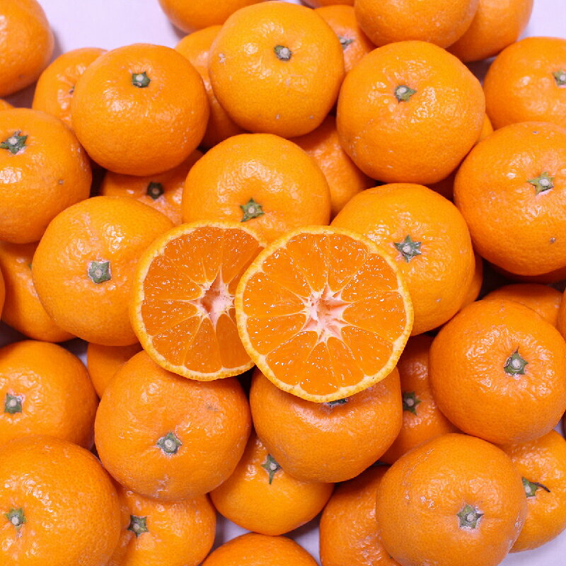 【ふるさと納税】 こだわりの和歌山県産 有田みかん 3kg（S〜Lサイズ） ひとつひとつ手選別で厳選！生産者から直送 【2025年11月下旬～1月中旬ごろに順次発送予定】 | みかん フルーツ 果物 くだもの 有田みかん 蜜柑 柑橘【hdm004A】 サムネイル2