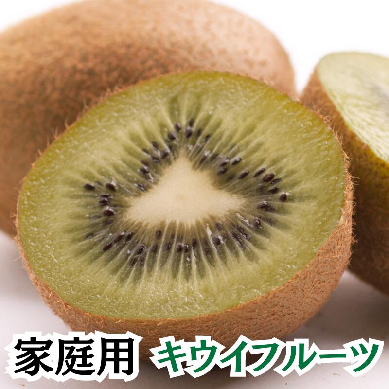 家庭用キウイフルーツ 【選べる容量】 1kg 2.5kg 5kg【わけあり・訳あり・扁平果】 ＜2025年11月〜2026年4月下旬ごろに順次発送＞ / キウイ 果物 フルーツ キウイフルーツ 果実 ご家庭用 和歌山 きうい