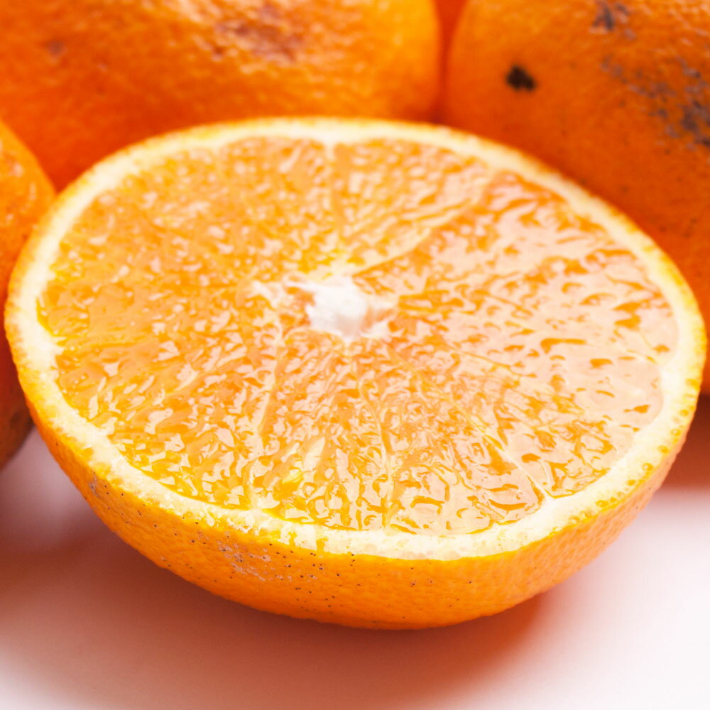 【ふるさと納税】家庭用 柑橘詰合せ 1kg / 2.5kg / 5kg 【訳あり・わけあり】【有田の春みかん詰め合わせ・フルーツ詰め合せ・オレンジつめあわせ】【光センサー選別】＜2026年1月〜4月下旬ごろに順次発送＞ / みかん セット 有田みかん 柑橘 果物 フルーツ サムネイル2