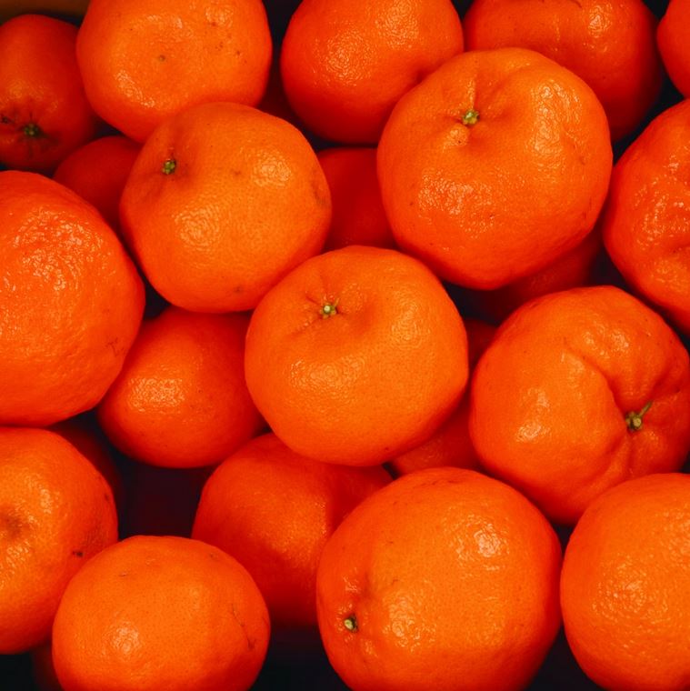 【ふるさと納税】【先行予約】家庭用 ポンカン1kg 2.5kg 5kg（傷み補償分付）＜2026年1月下旬～2月下旬に順次発送＞ ※北海道・沖縄への配送不可 / みかん 果物 フルーツ柑橘 ぽんかん 和歌山 有田みかん 和歌山 くだもの 訳あり 訳アリ サムネイル3