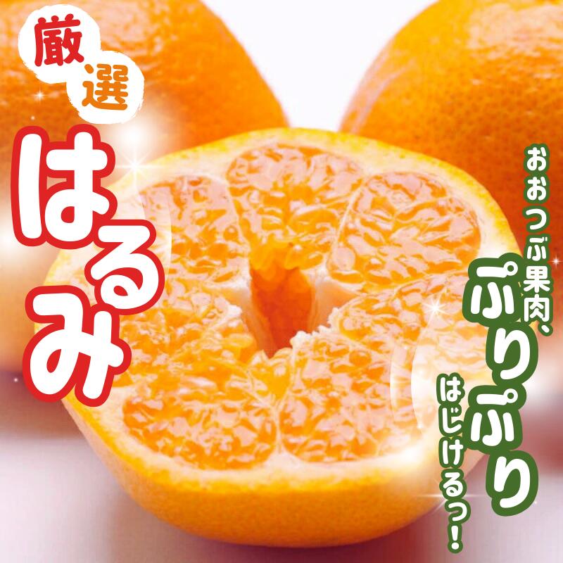 ＜先行予約＞ 厳選 はるみ 1kg / 2.5kg / 5kg （傷み補償分付）【デコポンの姉妹品種・新食感春みかん】【光センサー選別】 ＜2026年2月上旬～3月下旬順次発送＞ / みかん 和歌山 わかやま フルーツ オレンジ 果物 くだもの おすすめ 有田みかん