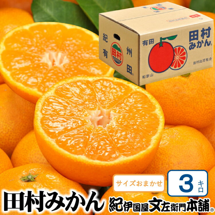 【予約受付】田村みかん 特選ギフト品 3kg サイズおまかせ 赤秀/紀州和歌山有田郡湯浅町田村地区産 ◆2025年11月下旬～2026年1月中旬頃に順次発送(お届け日指定不可) 紀伊国屋文左衛門本舗 有田みかん ミカン 和歌山 糖度 ギフト 高級