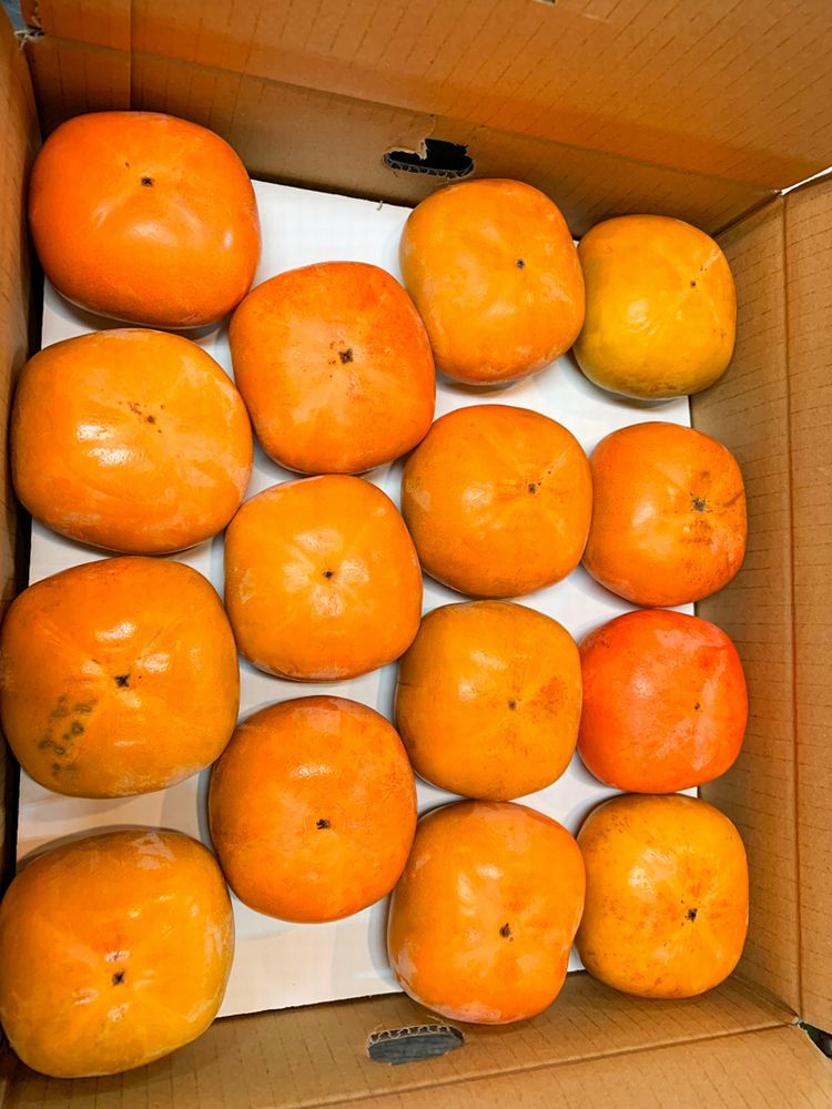 【ふるさと納税】 【ご家庭用わけあり】和歌山秋の味覚 富有柿 約7.5kg ※2025年11月上旬頃〜2025年12月上旬頃に発送（お届け日指定不可） サムネイル3