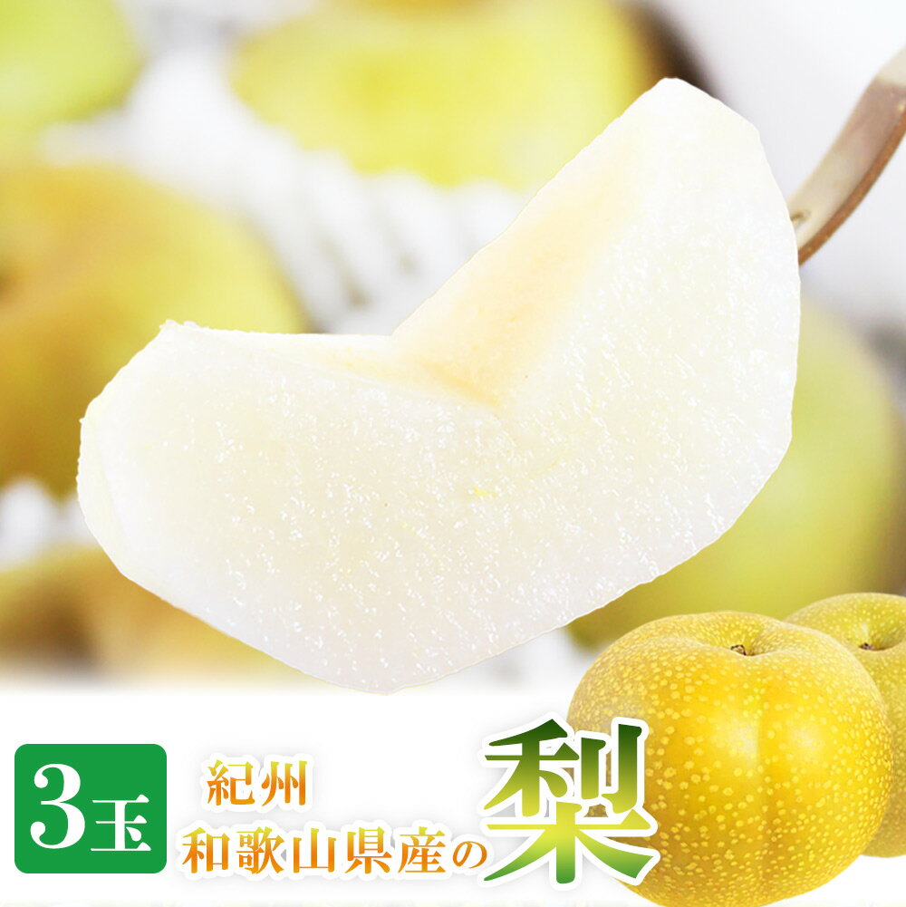 紀州和歌山産の梨 3玉 化粧箱入 ※2026年8月中旬頃〜2026年9月上旬頃に順次発送 ※日付指定不可 梨 なし ナシ 果物 くだもの フルーツ 甘い