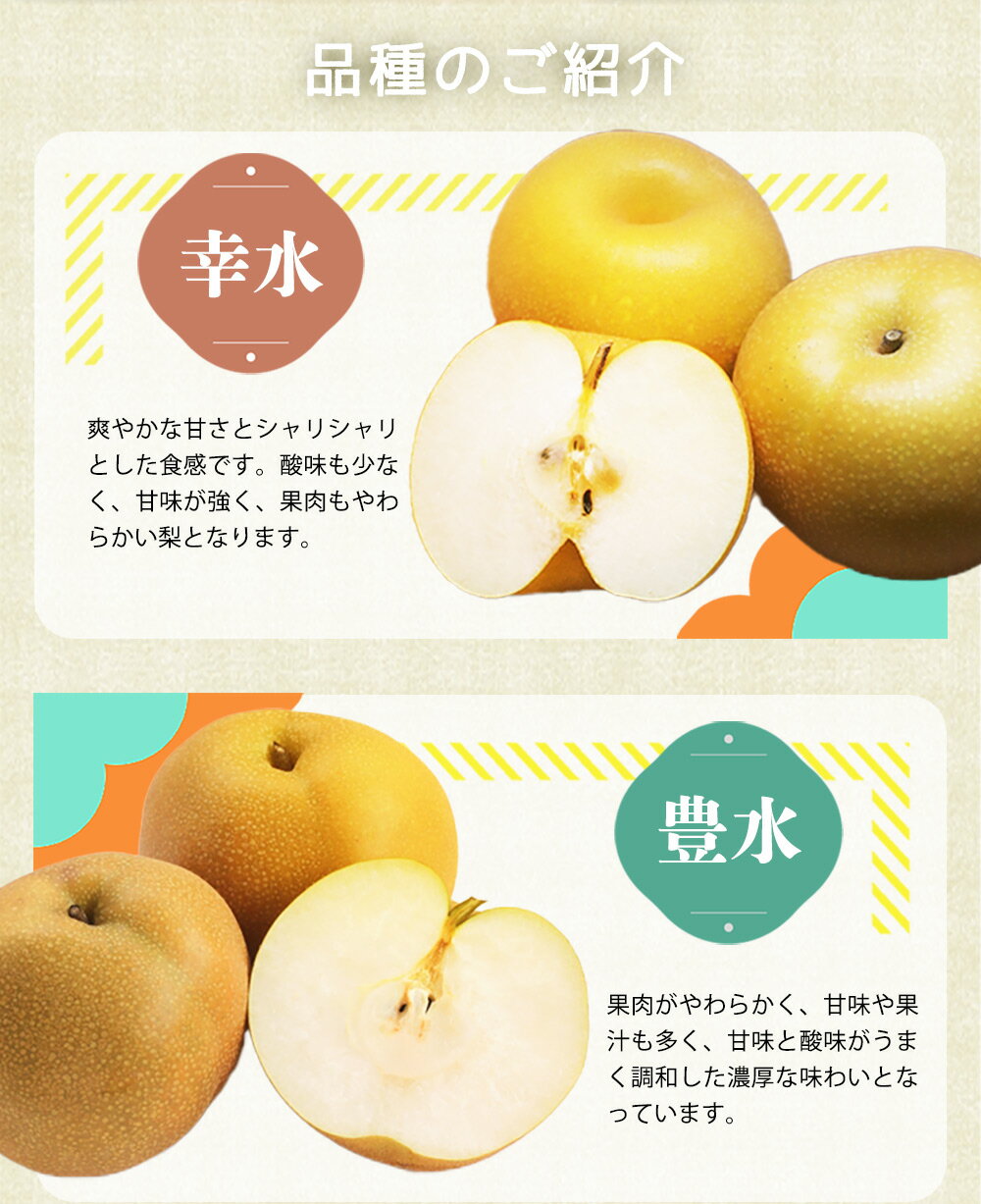 【ふるさと納税】 紀州和歌山産の梨 3玉 化粧箱入 ※2026年8月中旬頃〜2026年9月上旬頃に順次発送 ※日付指定不可 梨 なし ナシ 果物 くだもの フルーツ 甘い サムネイル3