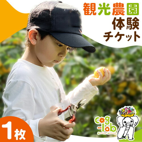 観光農園体験チケット 1枚 Cog-Lab《30日以内に出荷予定(土日祝除く)》 柿 かき カキ スモモ すもも みかん ミカン 八朔 はっさく はるみ 清見 不知火 キウイ フルーツ 果物 スイーツ 送料無料 体験 チケット 学び 学習