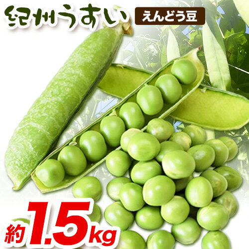 和歌山県特産 紀州うすい えんどう豆 約1.5kg(豆ご飯 約1.5升分) まる中農園《2026年5月下旬-6月下旬頃出荷》 和歌山県 紀の川市 えんどう豆 野菜 紀州うすい うすいえんどう まめ 豆 豆ごはん 送料無料