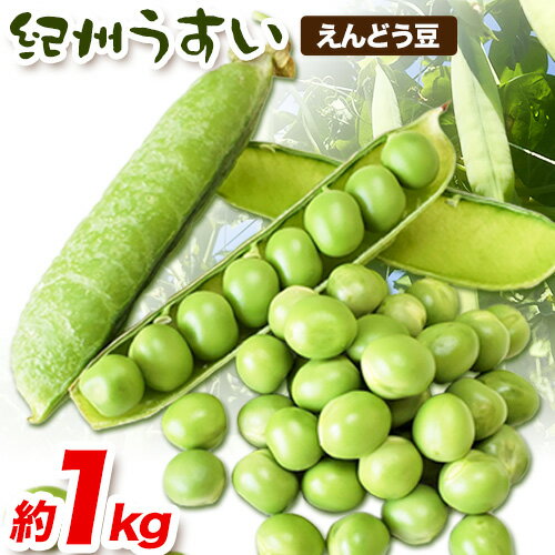 和歌山県特産 紀州うすい えんどう豆 約1kg(豆ご飯 約1升分) まる中農園《2026年5月下旬-6月下旬頃出荷》 和歌山県 紀の川市 えんどう豆 野菜 紀州うすい うすいえんどう まめ 豆 豆ごはん 送料無料